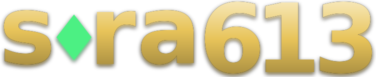 sora 613 logo